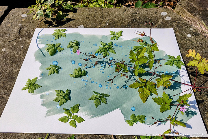 Papier 06