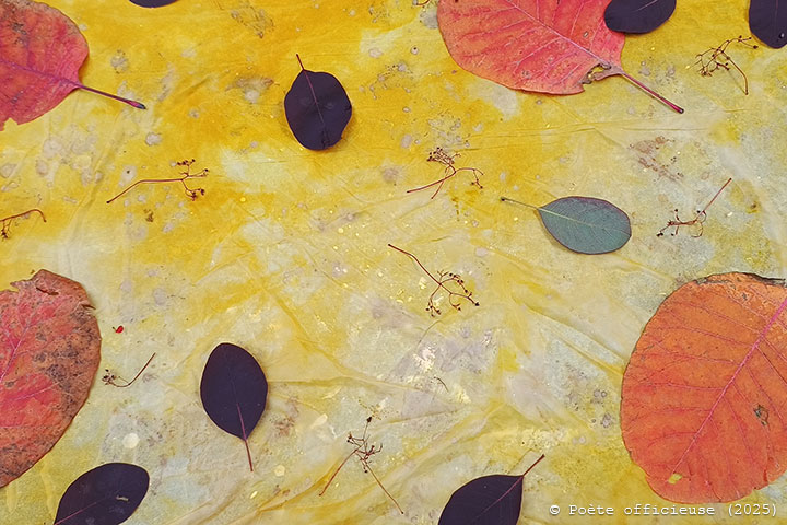 Textile 04